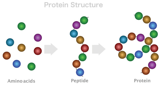 Peptide Therapy Injections