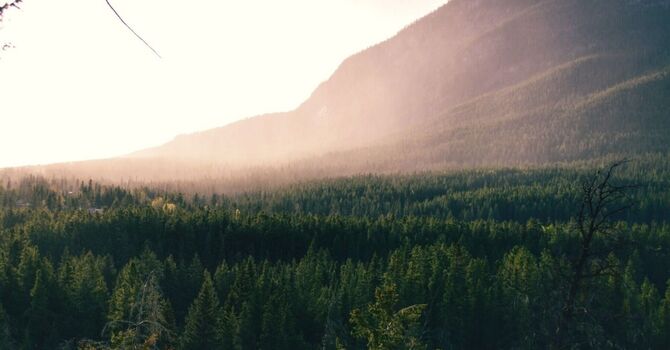 Ice Or Heat, Which Is Better When You're Hurt? image